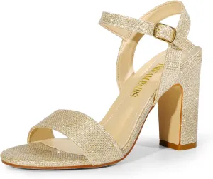 DREAM PAIRS Women's Chunky Heels Open Toe Ankle Strap High Block Comfy Dress Heel Sandals Pumps Shoes